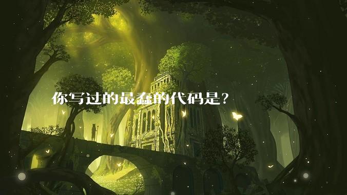 你写过的最蠢的代码是？
