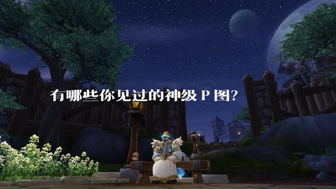 有哪些你见过的神级Ｐ图？